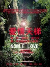愛(ài)情天梯