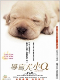 导盲犬小Q