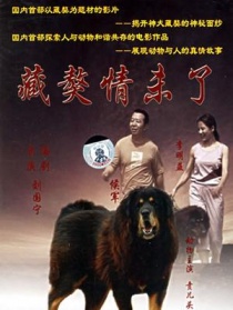 藏獒情未了