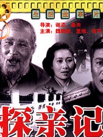 探亲记