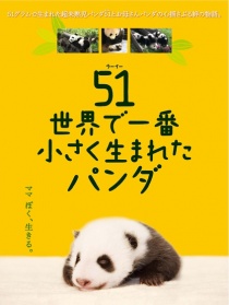 世界上最小的熊貓：51克