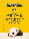世界上最小的熊猫：51克