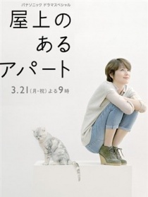 屋顶的公寓