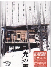 光之雨