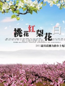 桃花紅 梨花白
