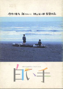 洁白的手