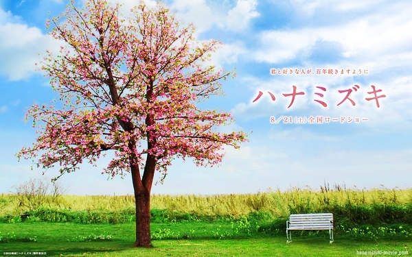 花水木电影百度云图片