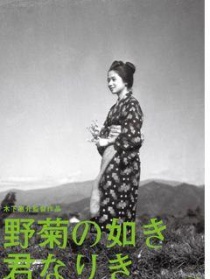野菊之墓