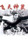 飞天神鼠