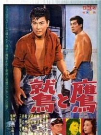 鷲與鷹