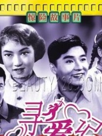 寻爱记