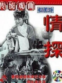 情探