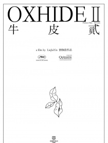 牛皮2