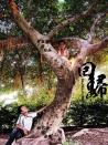 回歸