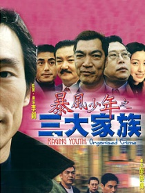 暴風(fēng)少年之三大家族