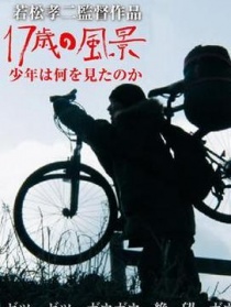 十七岁的风景：少年看到了什么