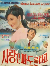 愛如逐浪