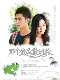 那个傻瓜爱过你