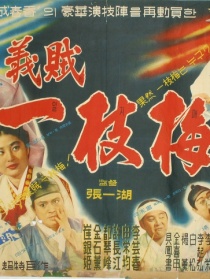 怪侠一枝梅