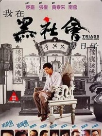 我在黑社会的日子