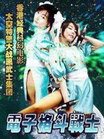 電子格斗戰(zhàn)士