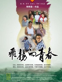 飛揚(yáng)的青春