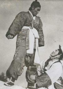 风仙花