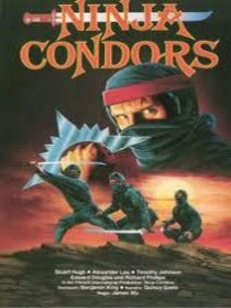 Ninjas, Condors 13