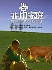 非常家庭