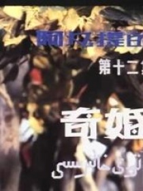 阿凡提的故事之奇婚記