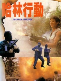 哈林行動(dòng)