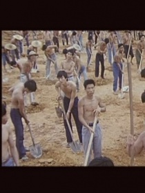 男性公民