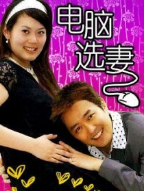 電腦選妻