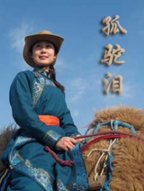 孤驼泪