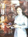 丫環(huán)傳奇