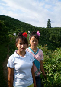 贵度姐妹记