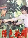 綠色的網(wǎng)