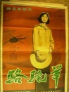 駱駝草
