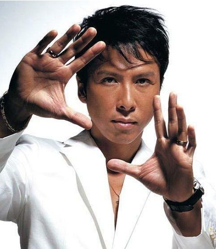 甄子丹商业饭局价300万 2012年猛赚一亿六千