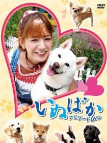 爱犬成痴