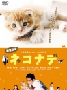 小貓奇緣