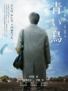 青鸟