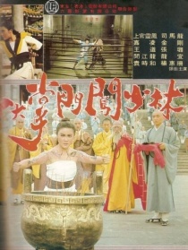 十大掌門闖少林