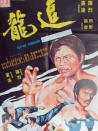 追龙