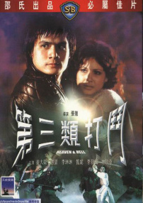 第三類打斗