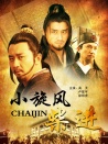 小旋風柴進