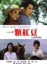 一颗红豆