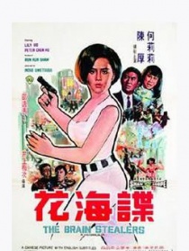 谍海花