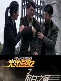 火线追凶2之不白之冤