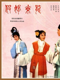假婿乘龍